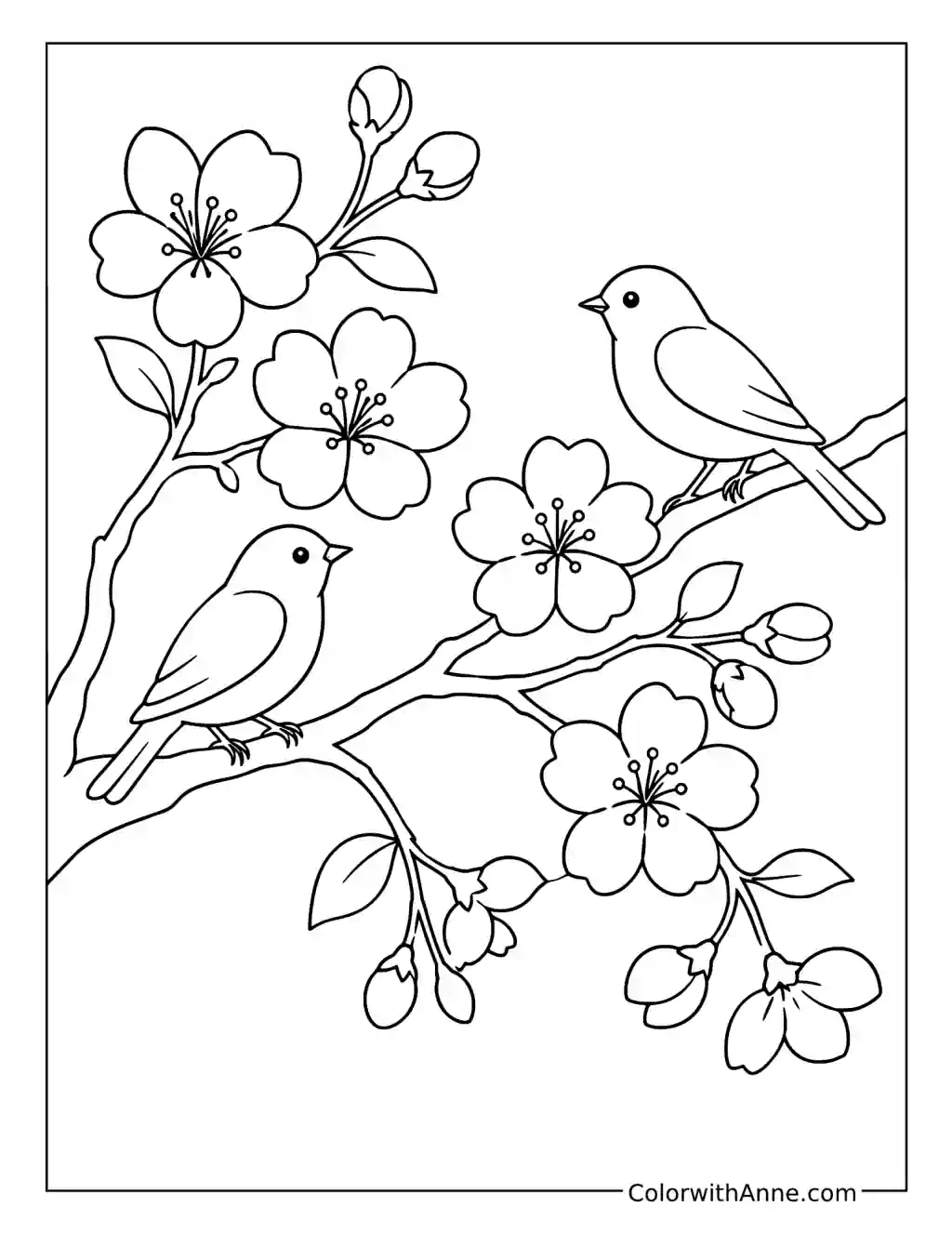 Birds Perched on Cherry Blossom Branches coloring page