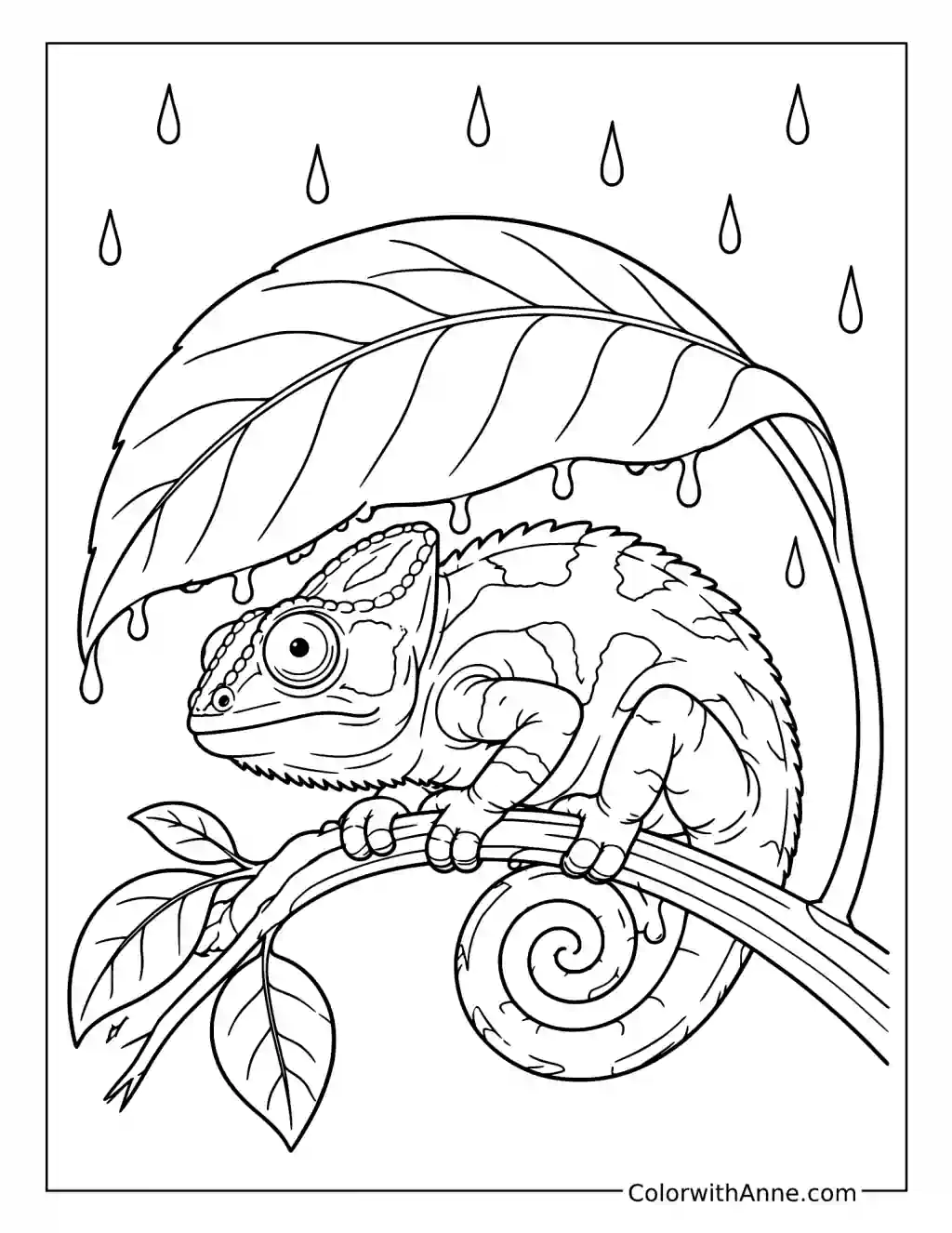 Chameleon Curled Beneath a Large Leaf coloring page