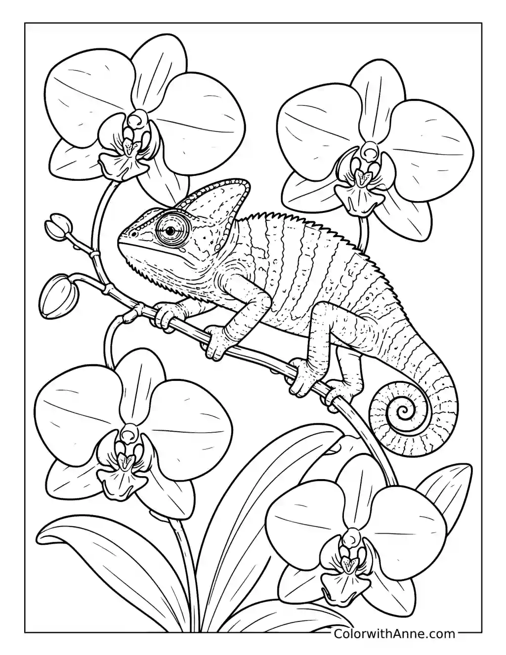 Chameleon in an Orchid Garden coloring page