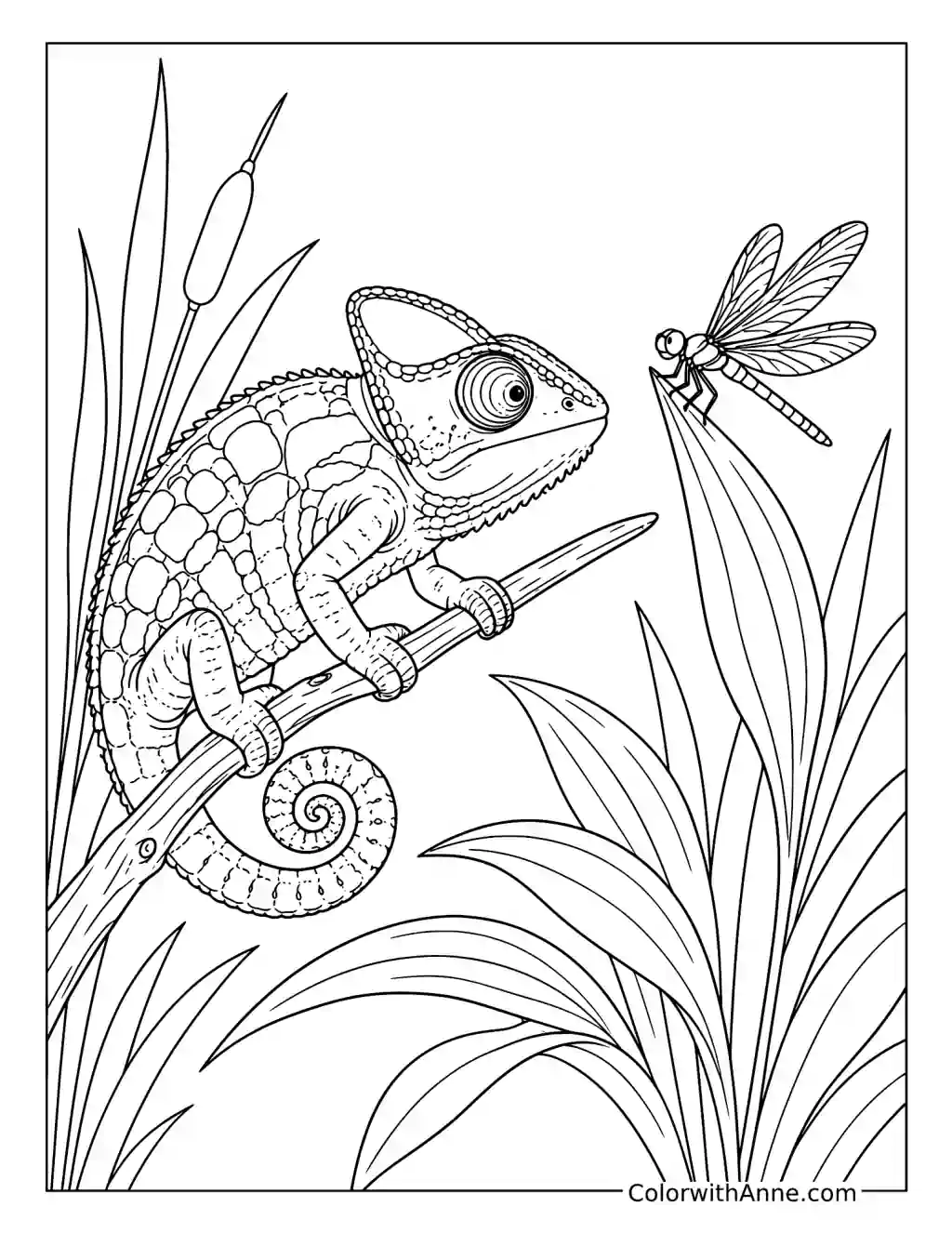 Chameleon Watching a Dragonfly coloring page