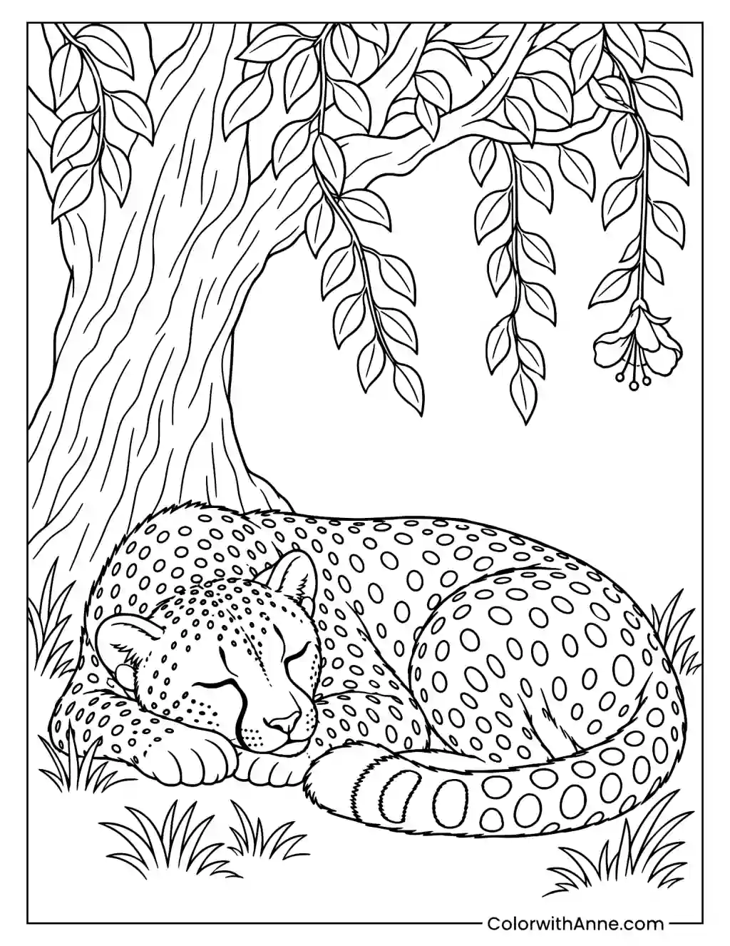 Cheetah Sleeping Under a Tree Coloring Page