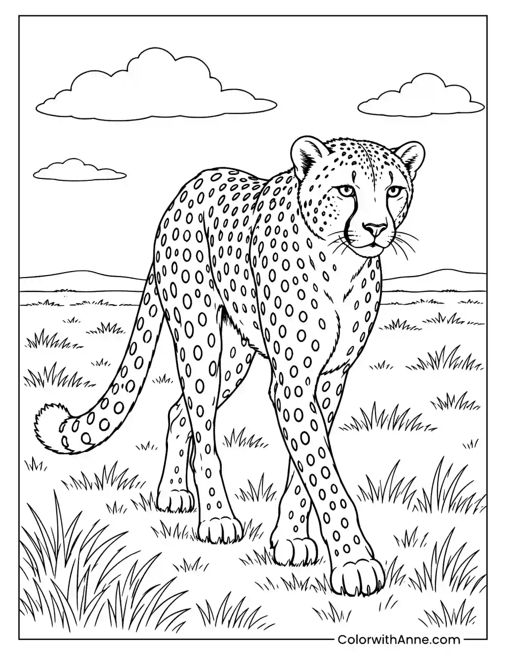 Cheetah Walking on the Grassland Coloring Page