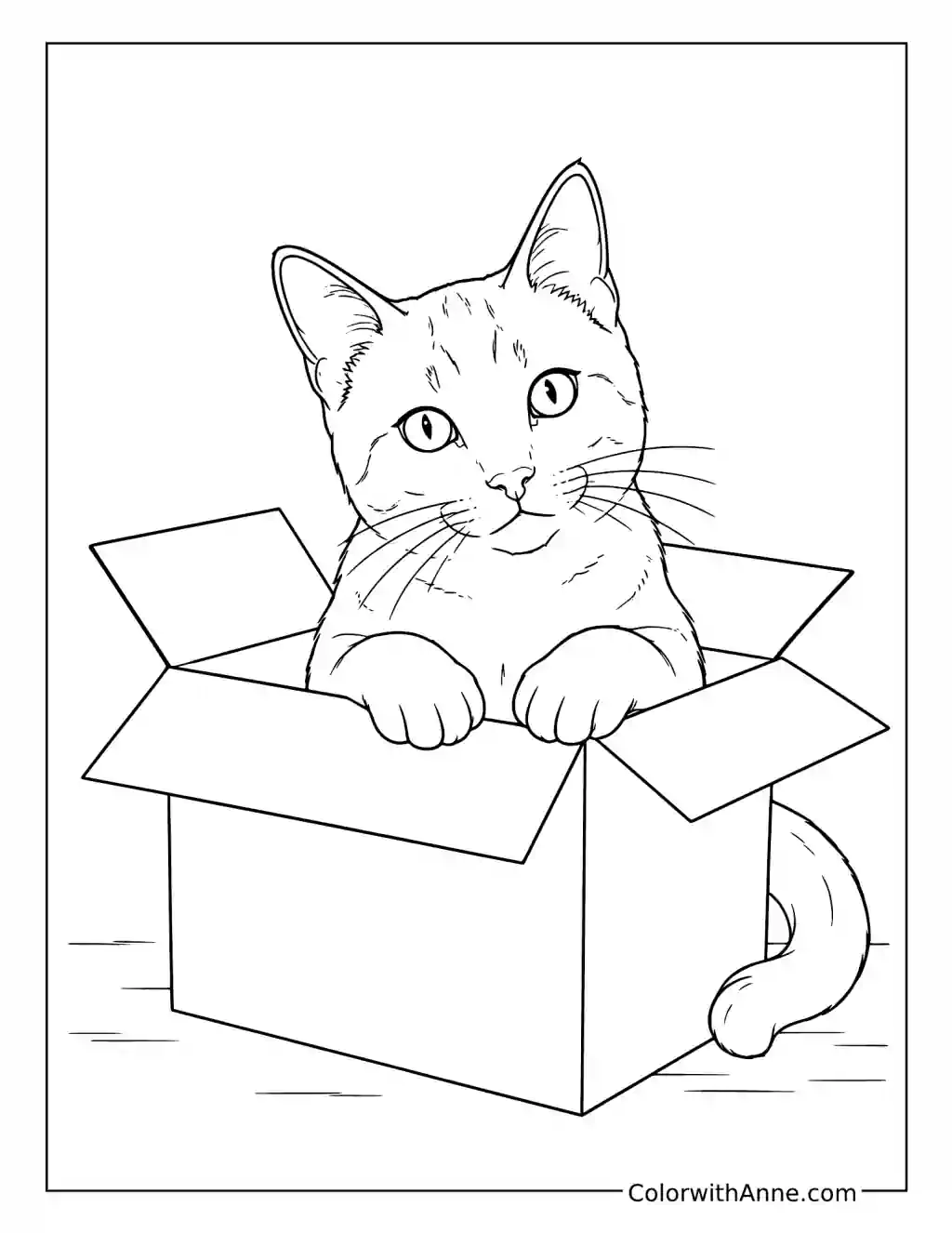 Curious Cat Peeking from a Cardboard Box coloring page