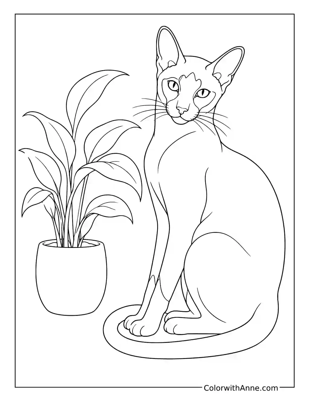 Elegant Siamese Cat with an Indoor Plant coloring page