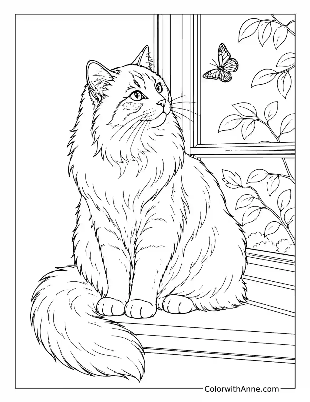 Fluffy Ragdoll Cat by the Window coloring page