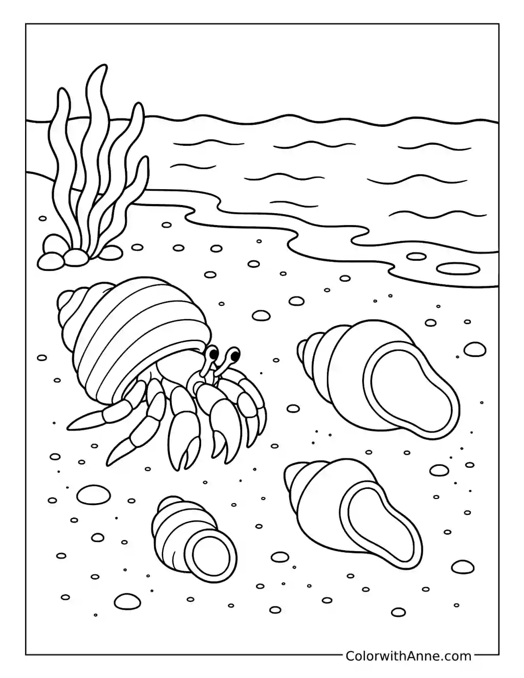 Hermit Crab Choosing a Shell coloring page