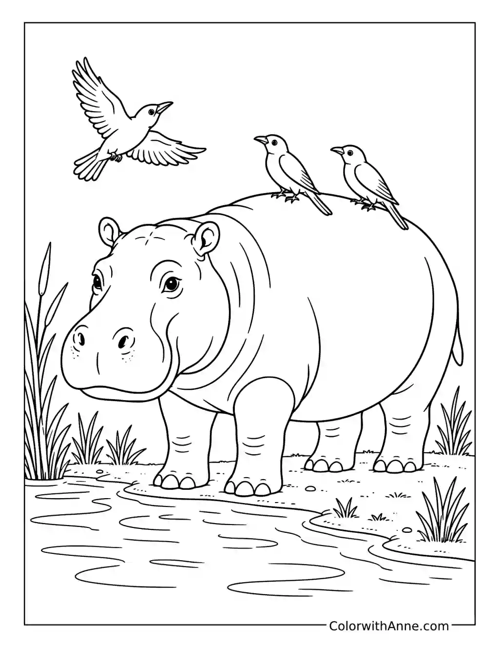 Hippo and Bird Friends coloring page