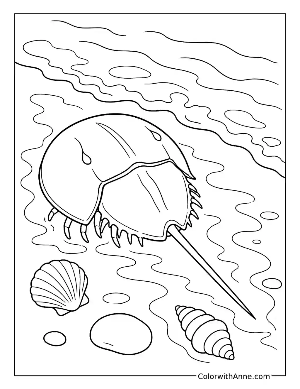 Horseshoe Crab on the Shore coloring page