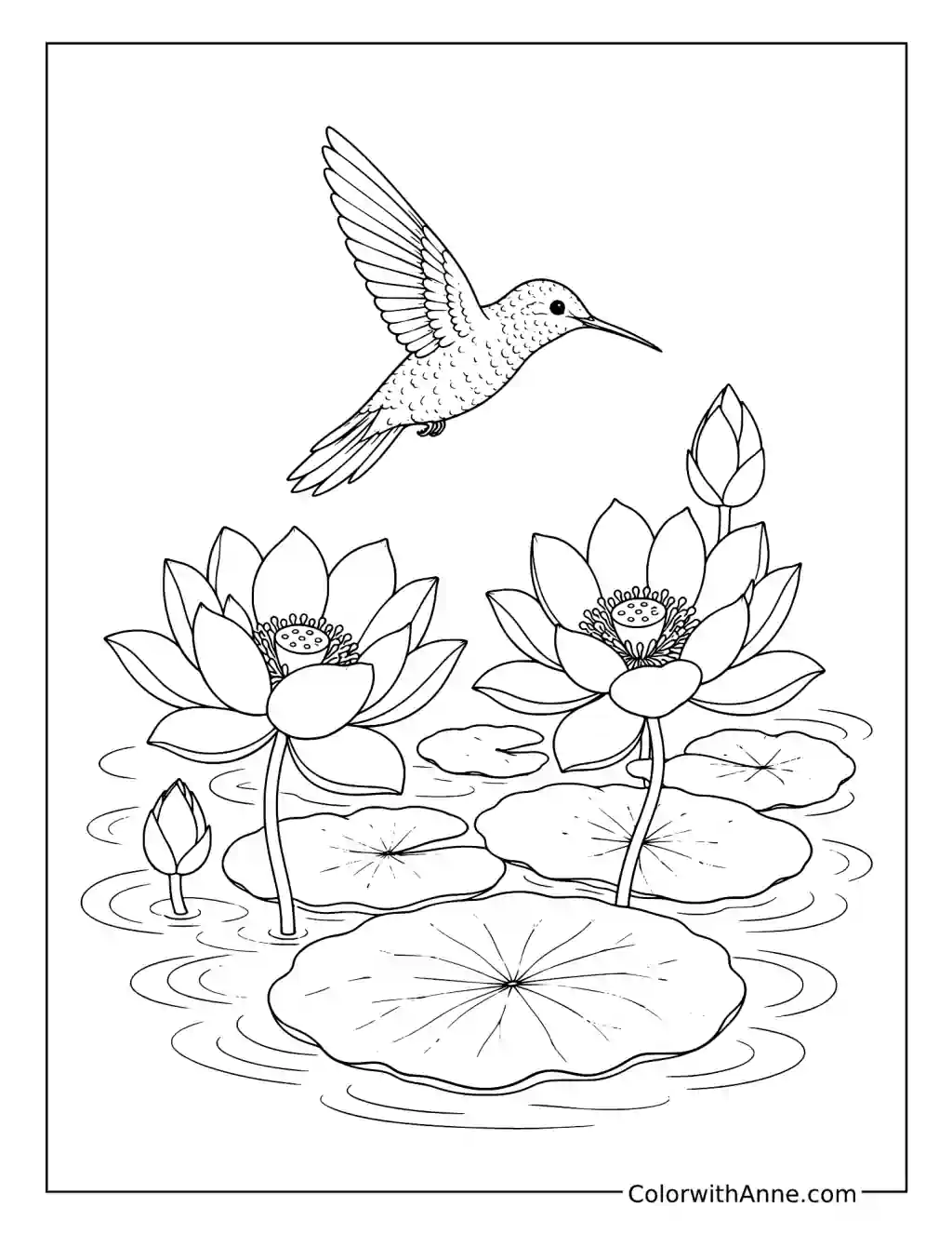 Hummingbird Above a Lotus Pond coloring page