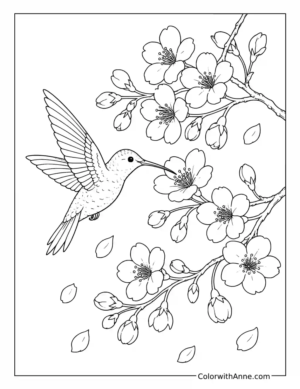 Hummingbird Among Cherry Blossoms coloring page