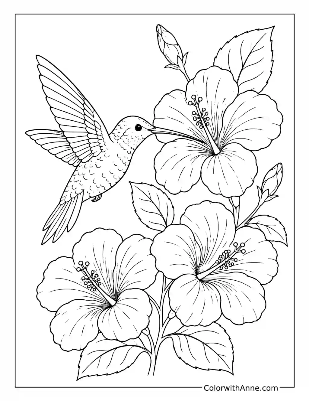 Hummingbird and Hibiscus Flowers coloring page