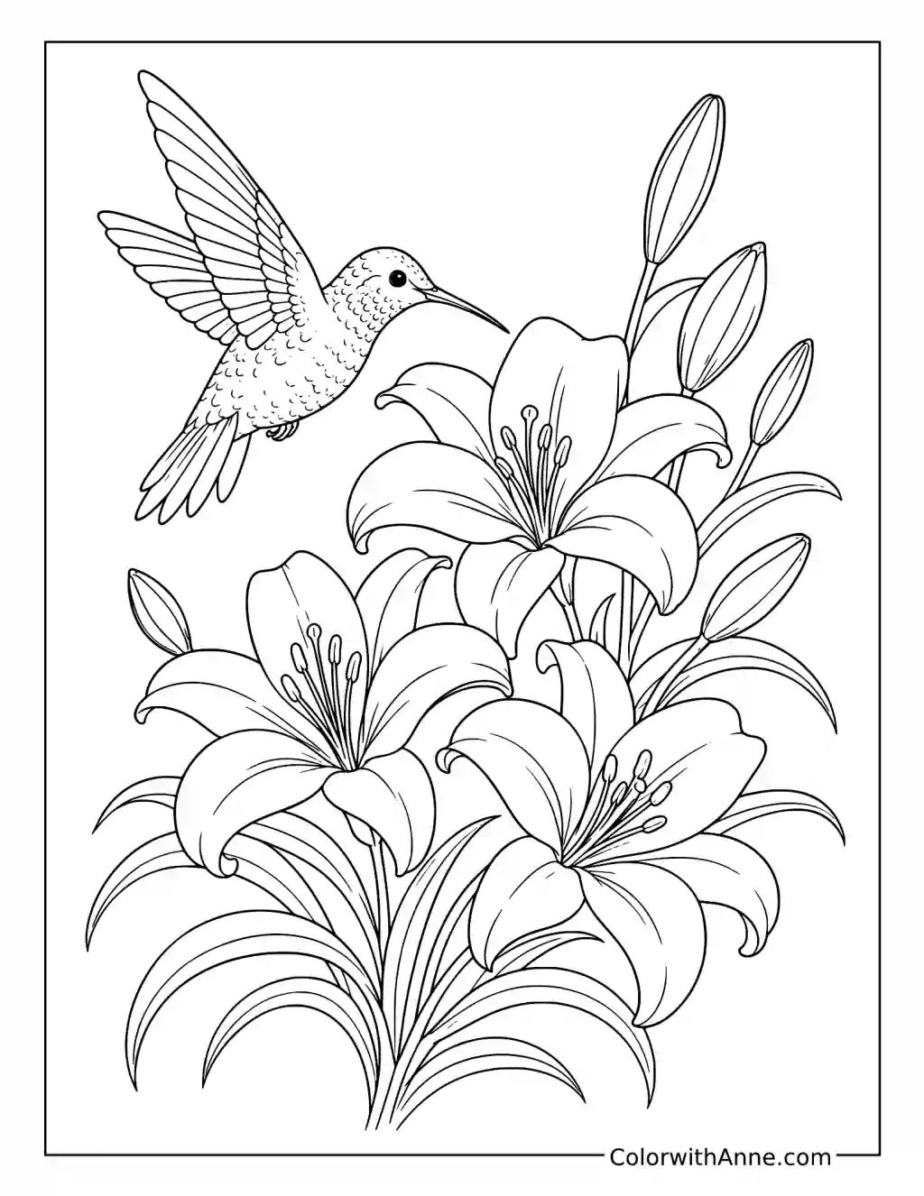 Hummingbird and Lily Garden coloring page