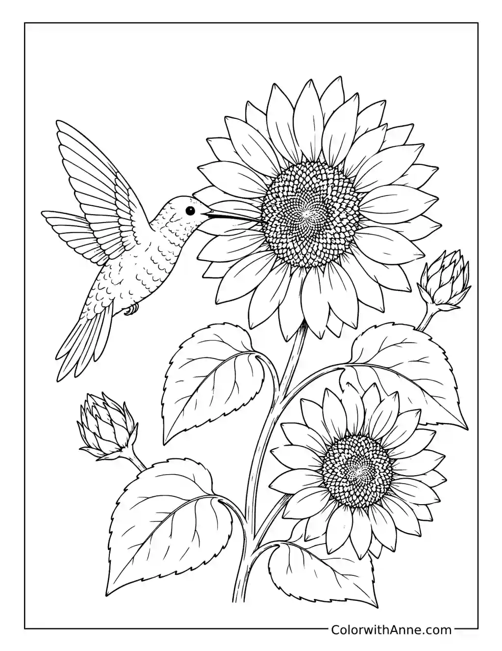 Hummingbird and Sunflowers coloring page