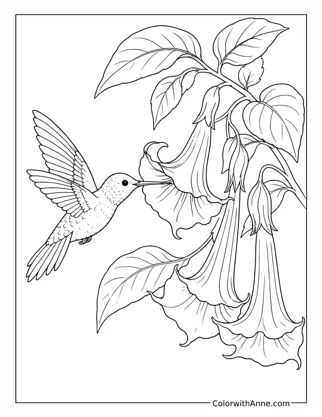 Hummingbird Drinking from a Trumpet Flower coloring page