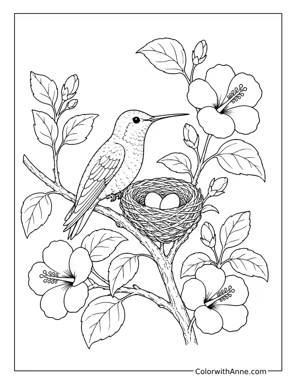 Hummingbird Nest with Eggs coloring page