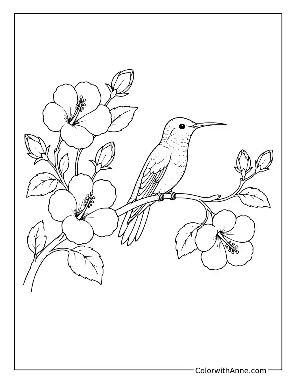 Hummingbird Resting on a Flowering Branch coloring page