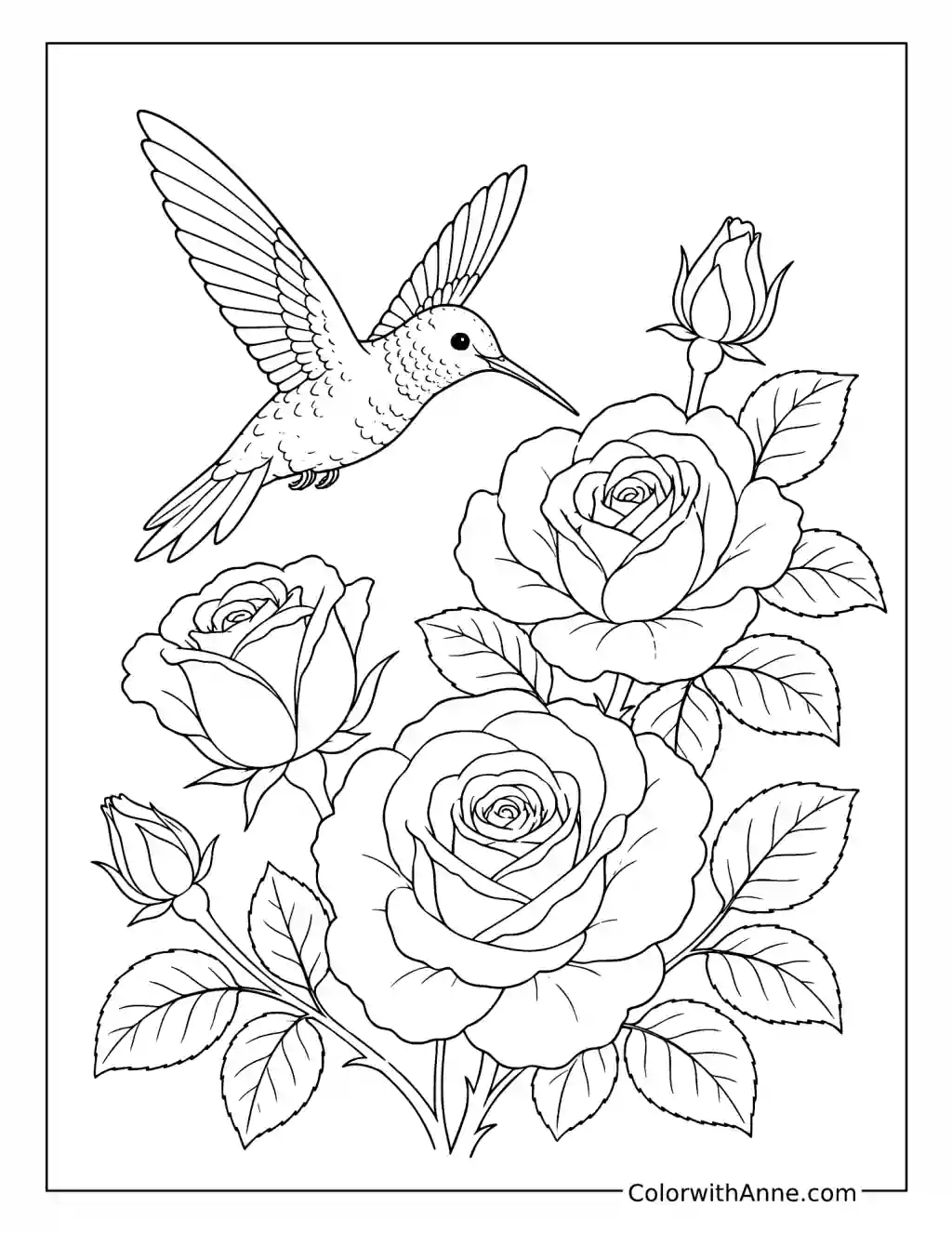 Hummingbird with Roses coloring page