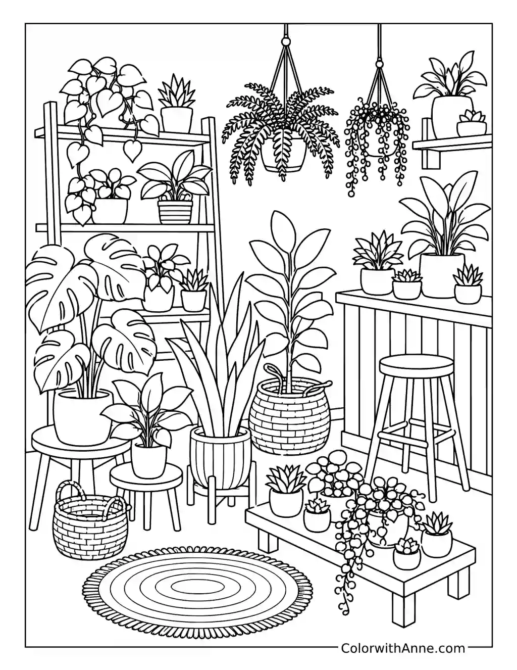 Indoor Plant Collection with Hanging Ferns and Succulents coloring page