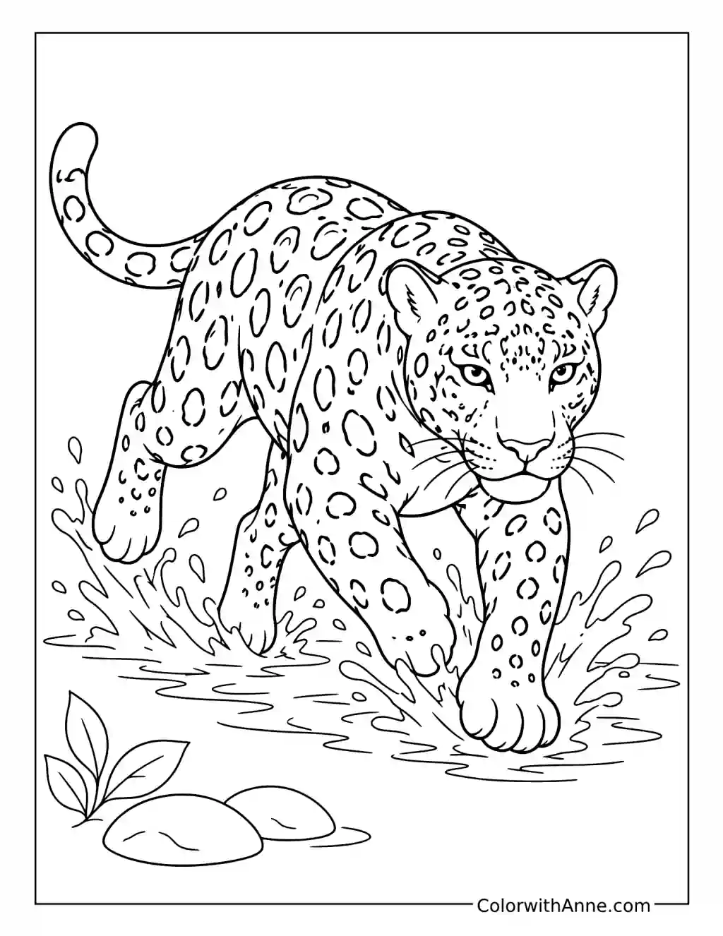 Jaguar Splashing Through Shallow Water coloring page