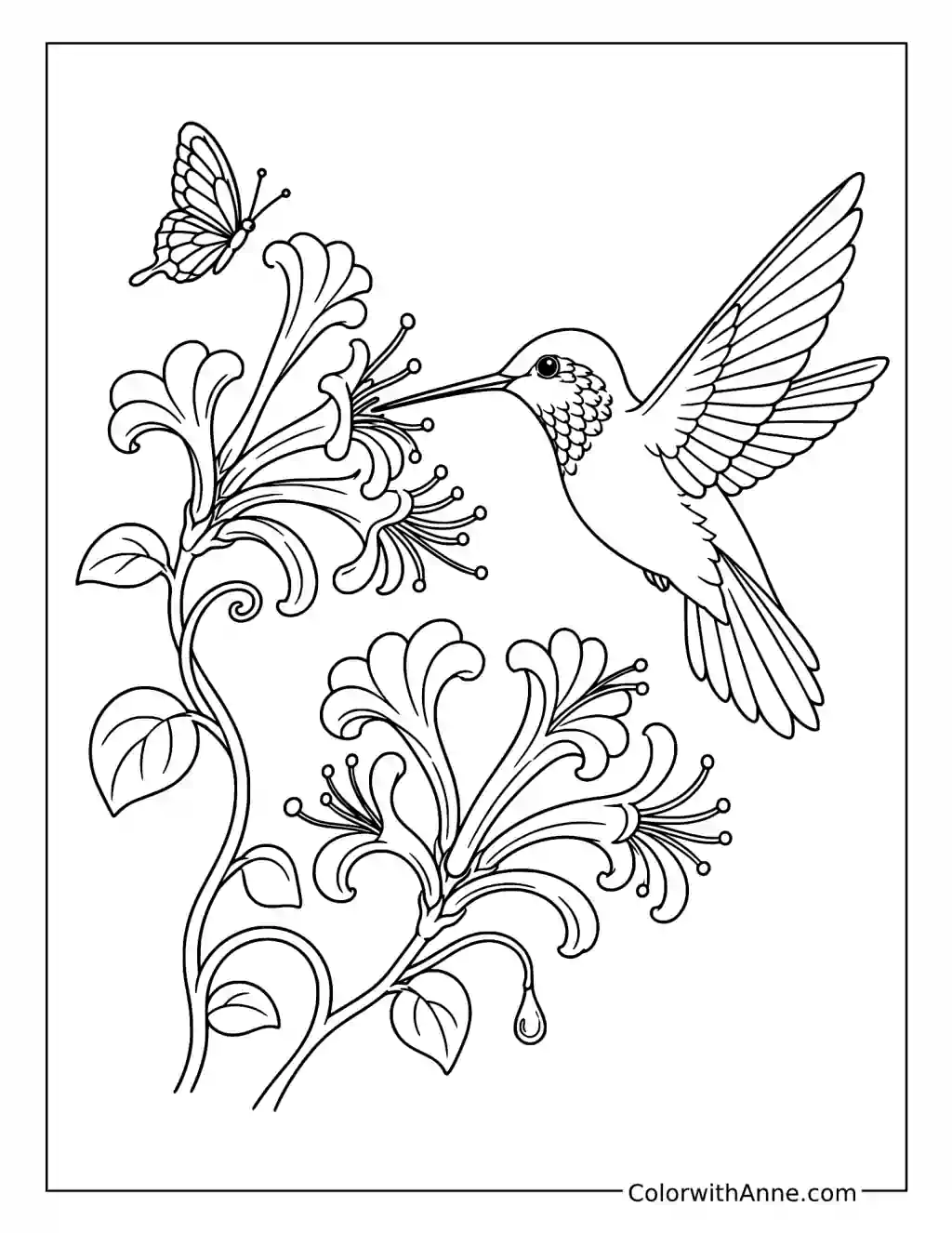 June Hummingbird Among Honeysuckle Blooms coloring page