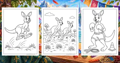 Kangaroo Coloring Pages banner