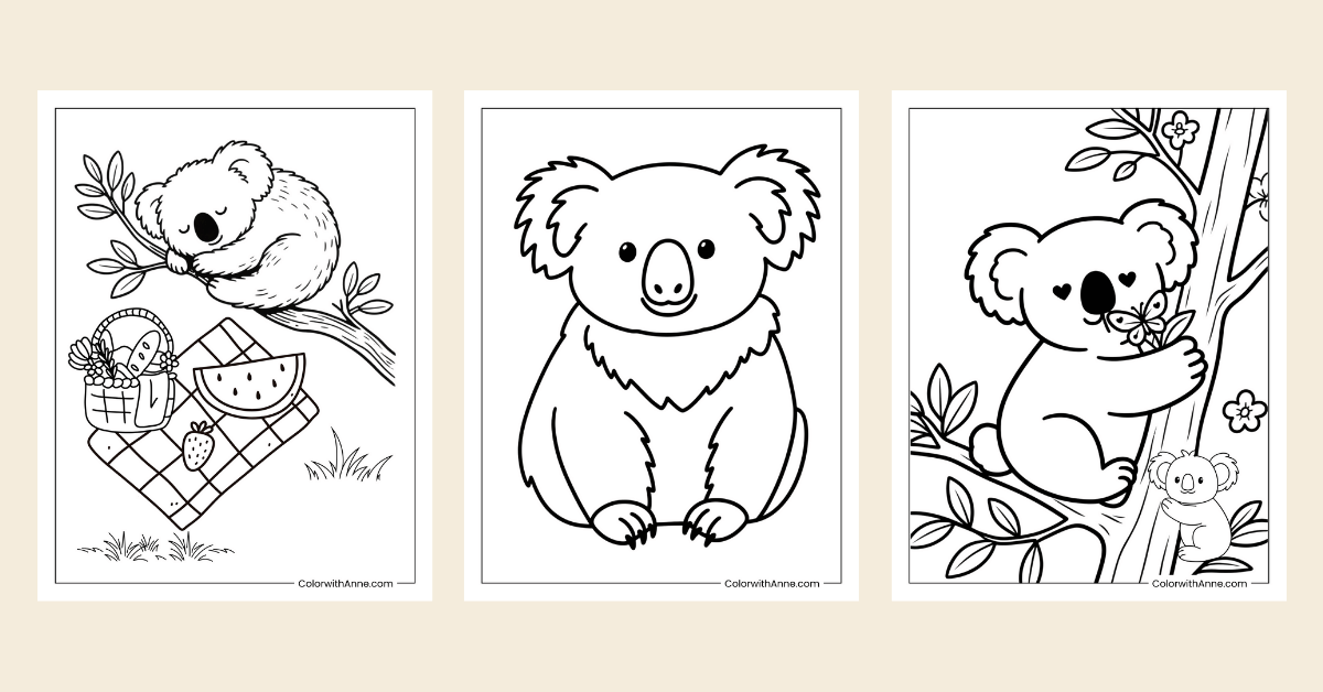 koala coloring pages banner