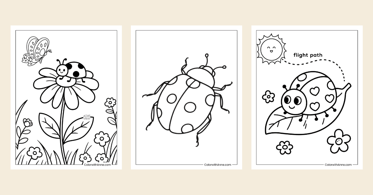 ladybug coloring pages banner