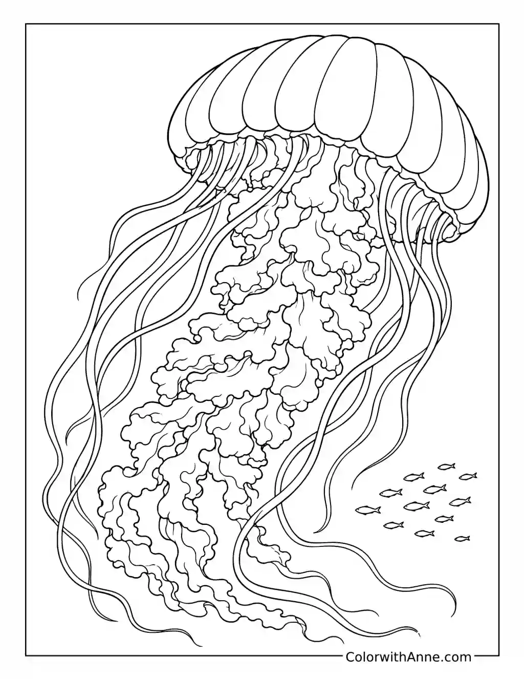 Large Jellyfish with Ruffled Arms Above Tiny Fish coloring page