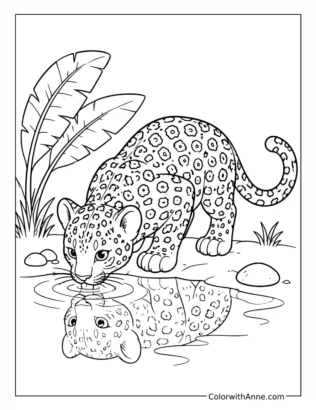 Leopard Drinking from a Jungle Stream coloring page