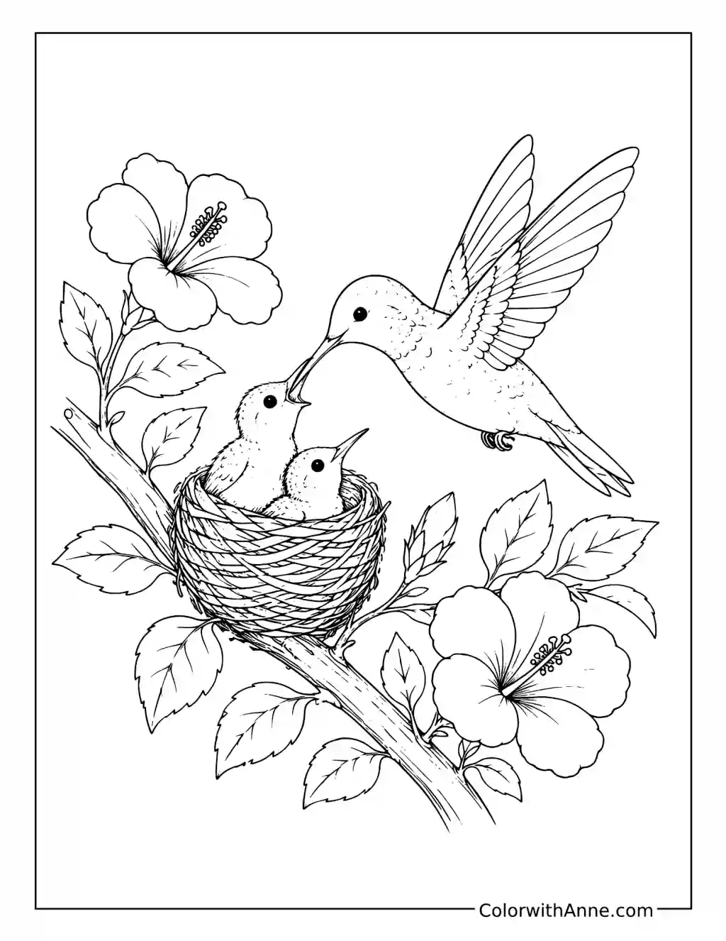 Mother Hummingbird Feeding Her Chicks coloring page
