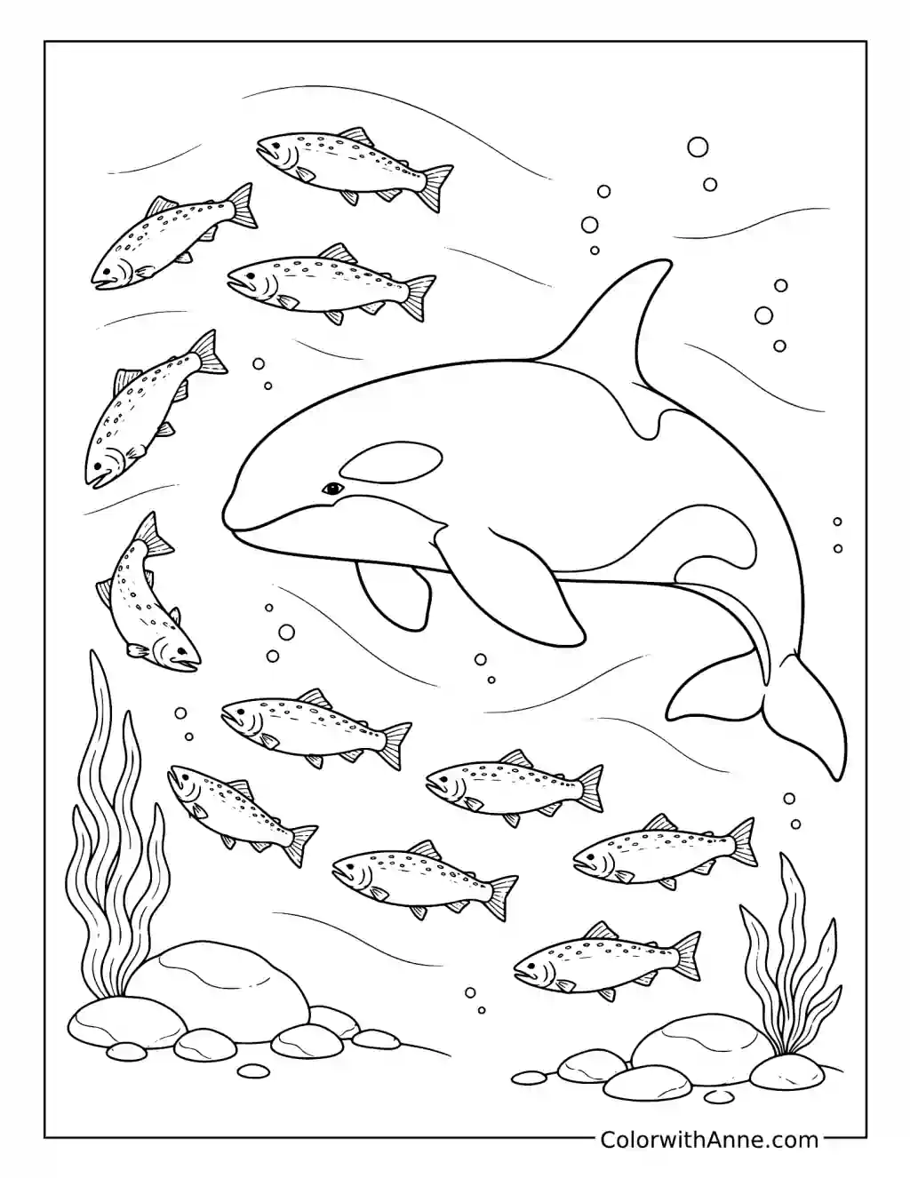 Orca and School of Salmon coloring page