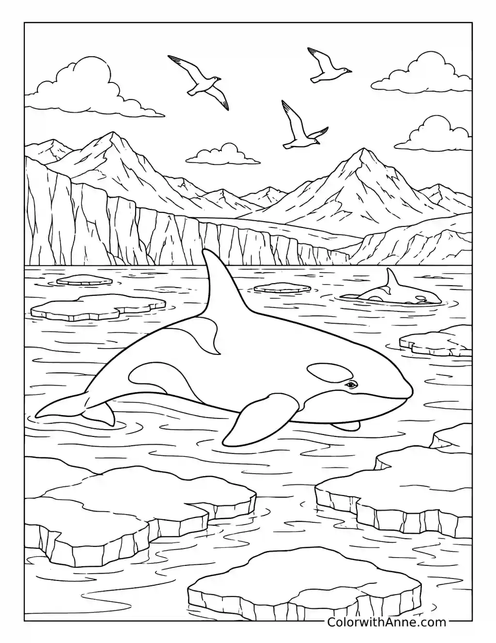 Orca in the Arctic Ocean coloring page