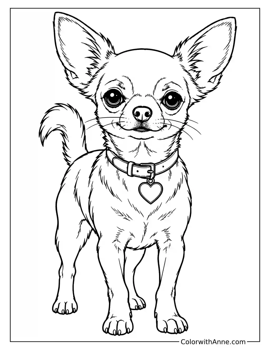 Chihuahua Coloring Page