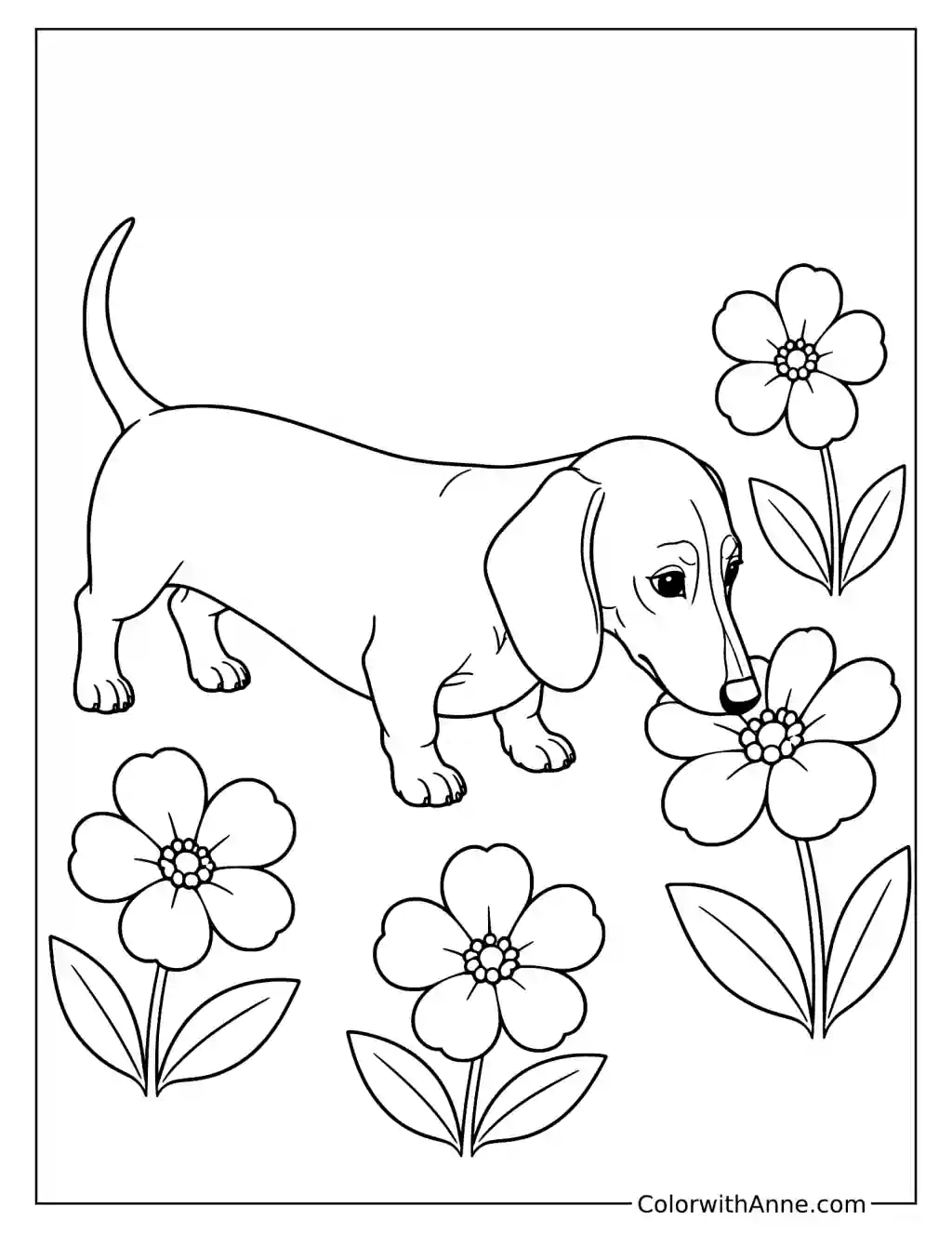 Dachshund Exploring a Flower Garden Coloring Page