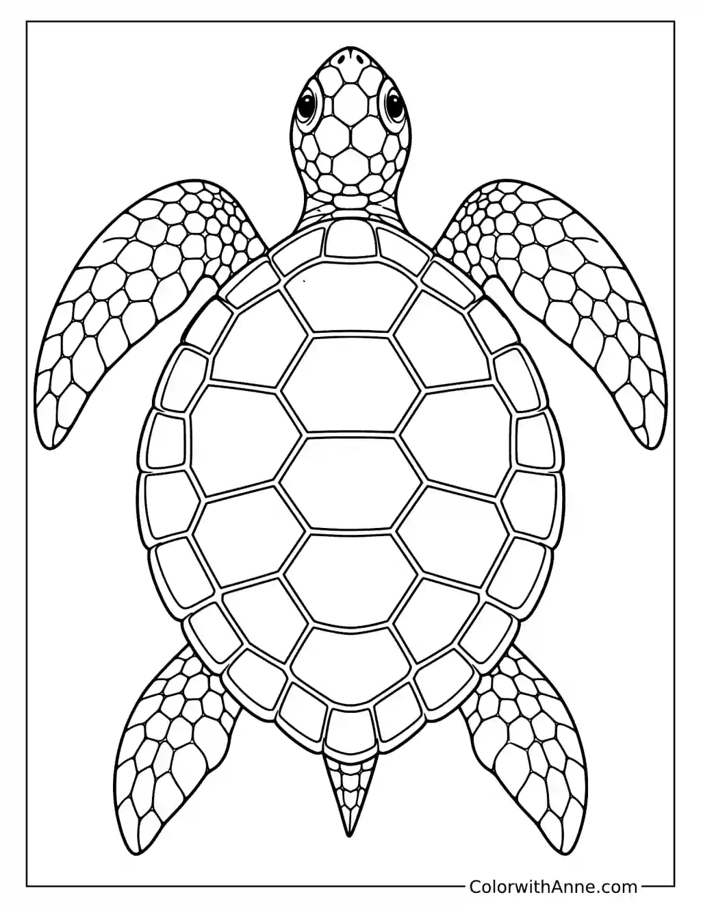 Geometric Turtle Shell Mosaic Coloring Page