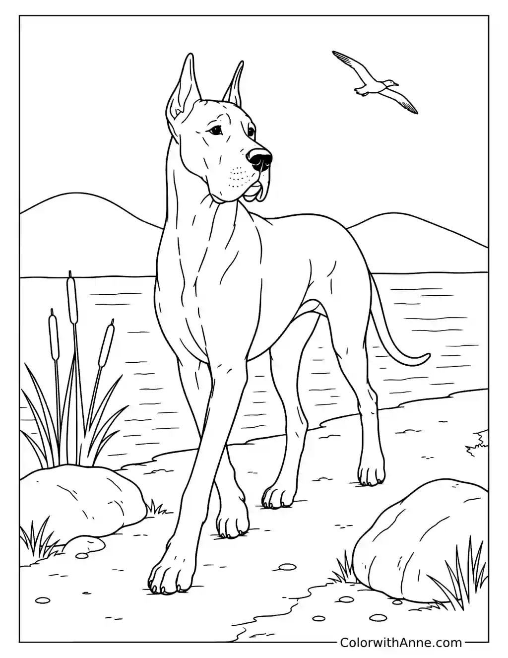 Great Dane on a Lakeside Path Coloring Page