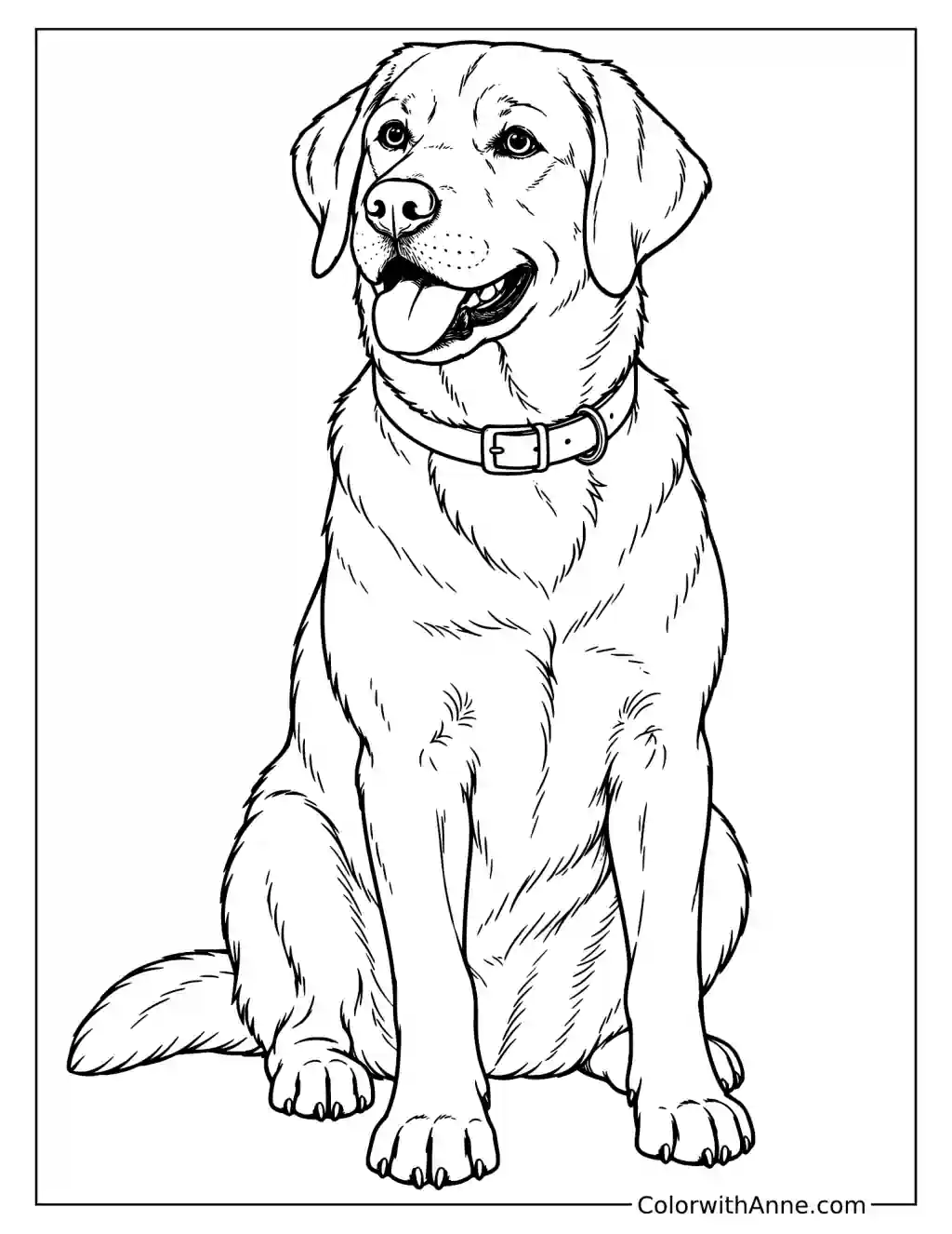 Labrador Retriever Coloring Page