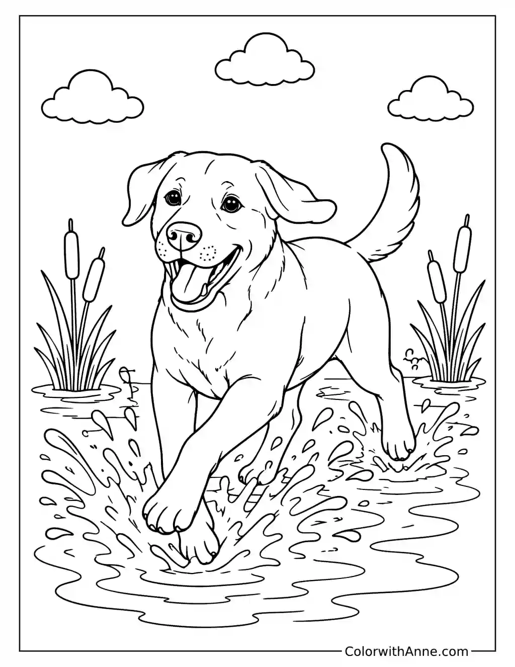 Labrador Splashing in a Pond Coloring Page