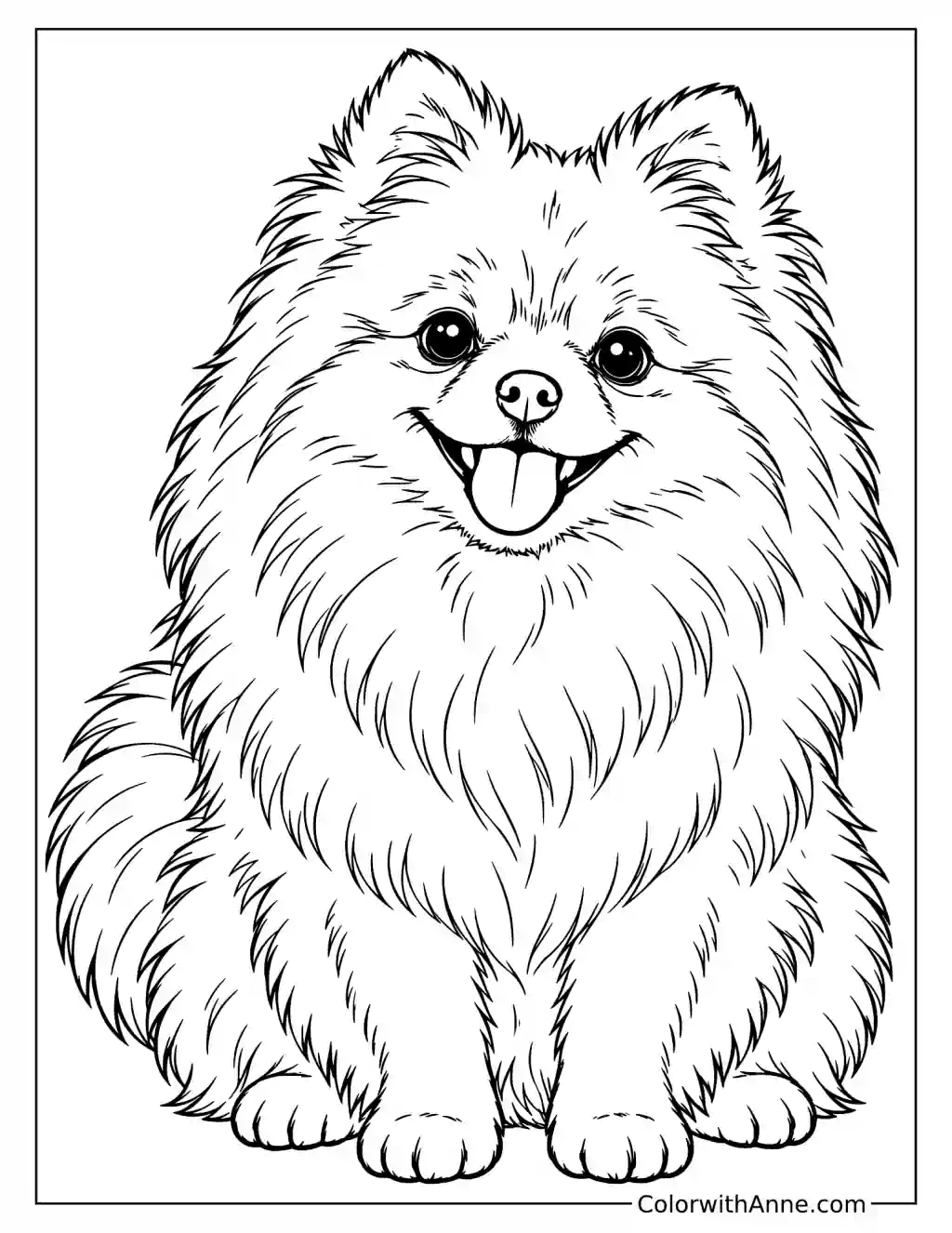 Pomeranian Coloring Page