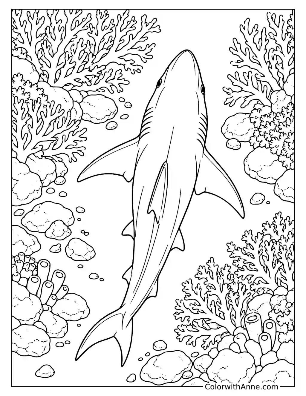 Shark Viewed from Above Near Coral Coloring Page