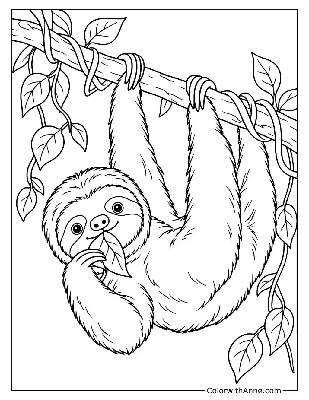 Sloth Hanging and Munching on a Vine Coloring Page
