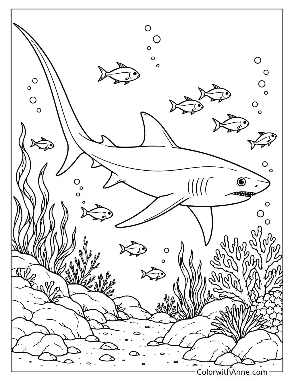 Thresher Shark Swimming Underwater Coloring Page