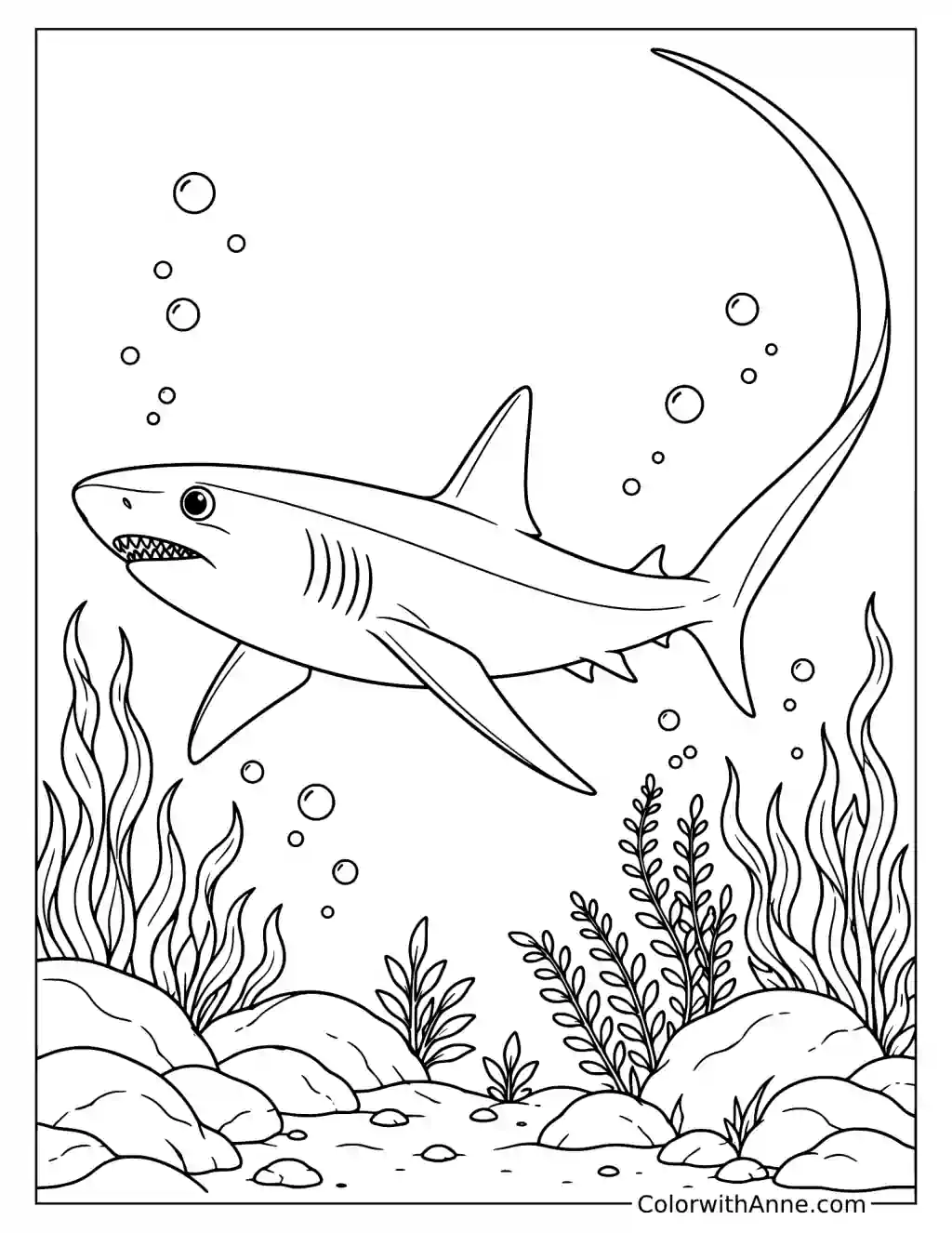 Thresher Shark Swimming with Its Long Tail Coloring Page