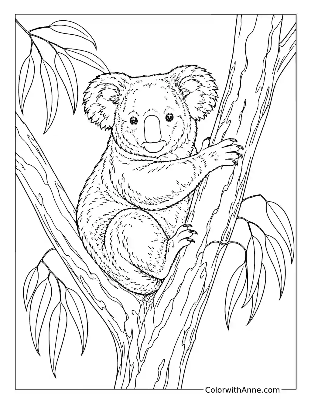 Realistic Koala Resting in a Eucalyptus Tree coloring page