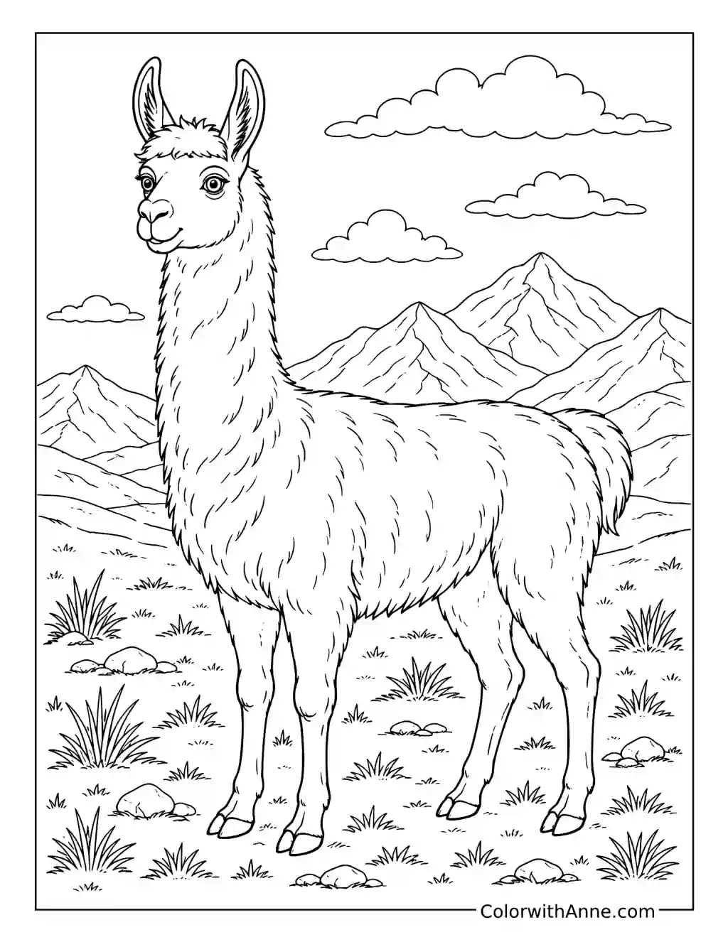 Realistic Llama coloring page