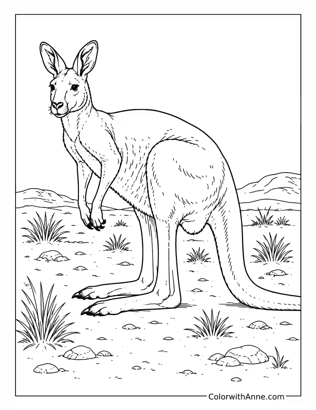 Red Kangaroo in Outback Grass coloring page
