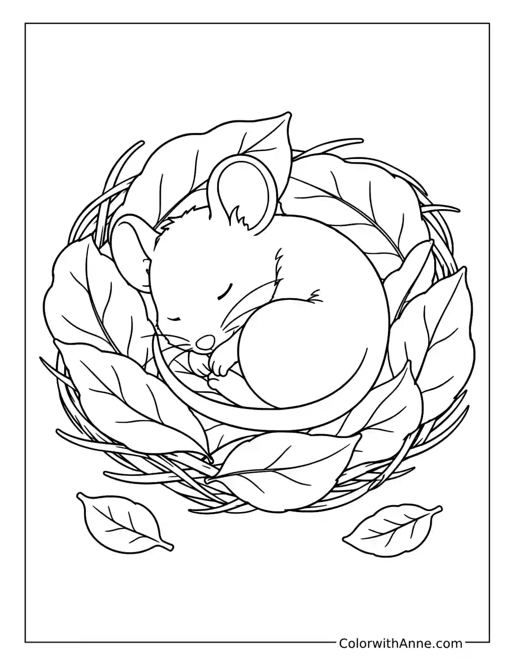 Sleeping Mouse Curled in a Nest coloring page