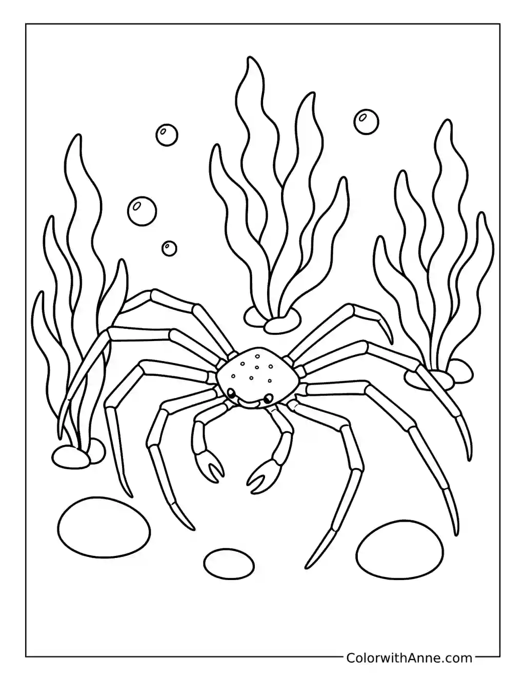 Spider Crab Among Seaweed coloring page