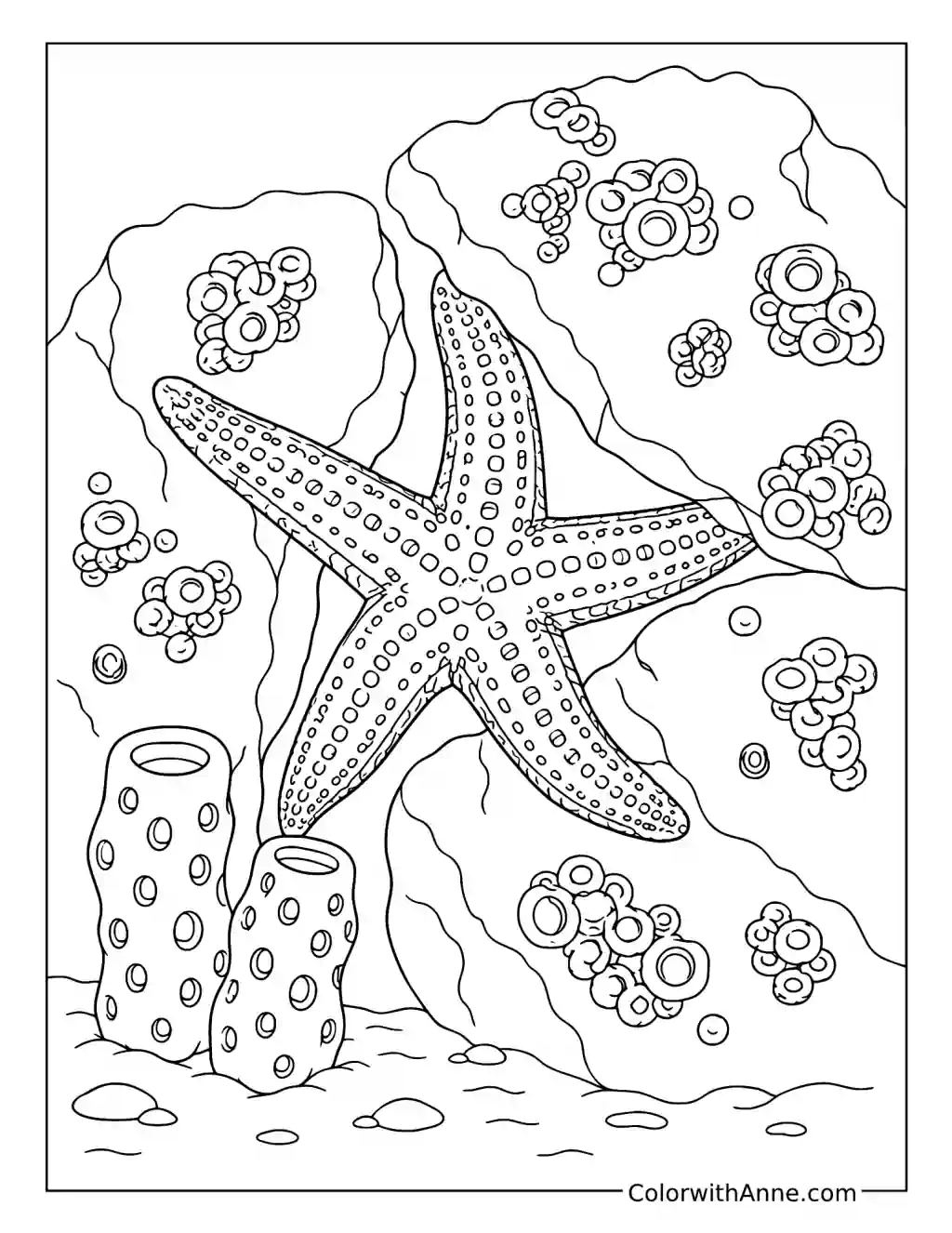 Starfish Among Coral Rocks coloring page
