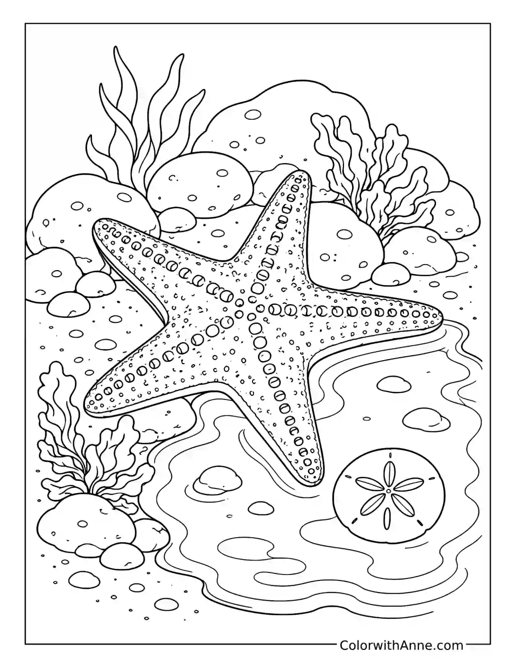 Starfish Beside a Sand Dollar in a Tide Pool coloring page